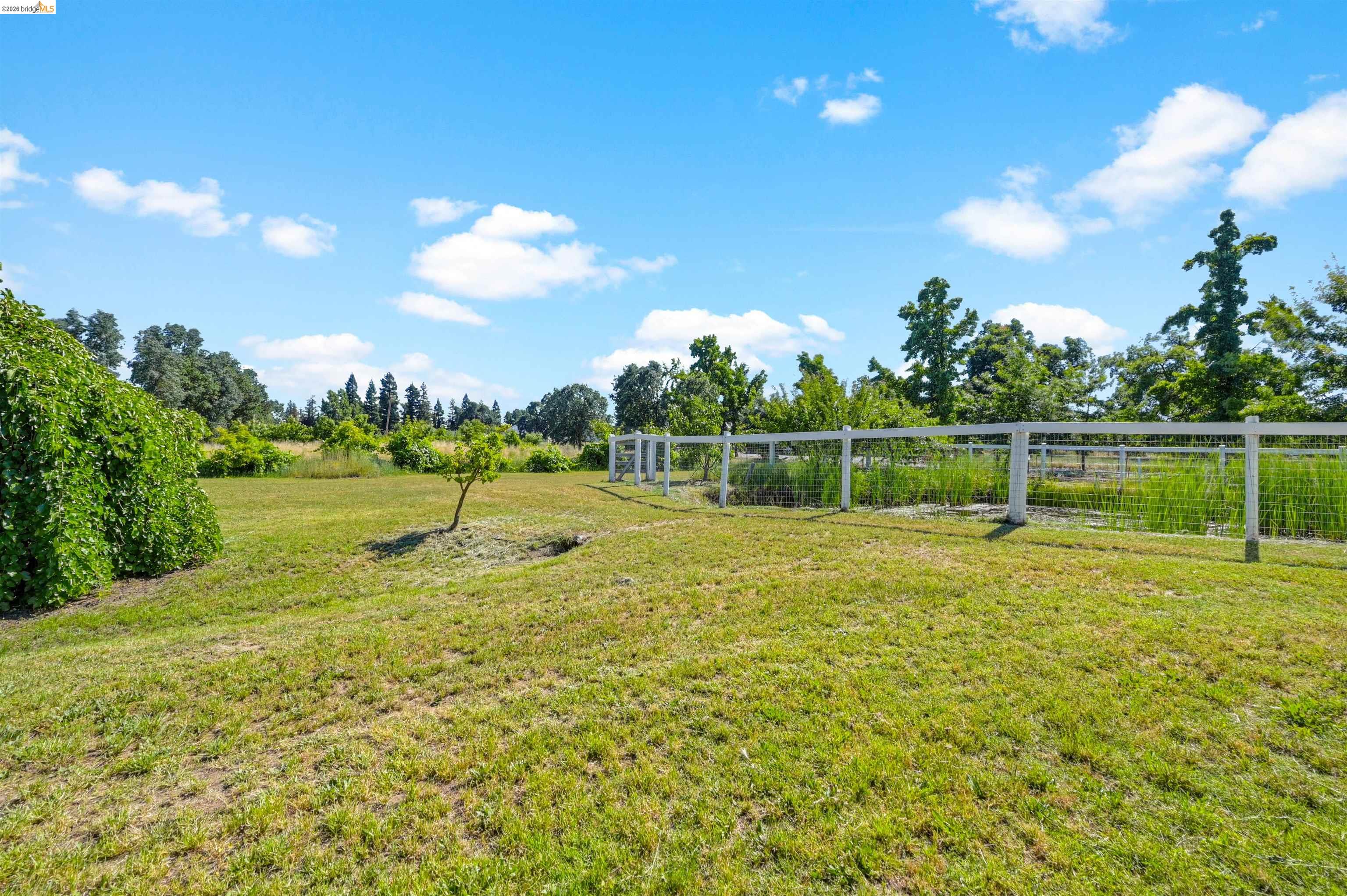 10474 Sheldon Road Elk Grove, CA 95624 - Photo 71 of 83 Expansive grassy yard with a white perimeter fence, mature trees, and a small fruit tree