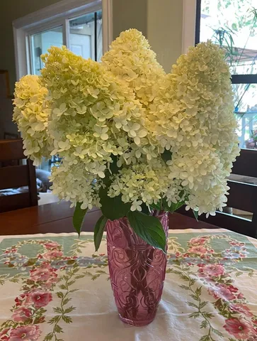 $1,425,000 | 18 Linden Road, Watsonville, CA 95076