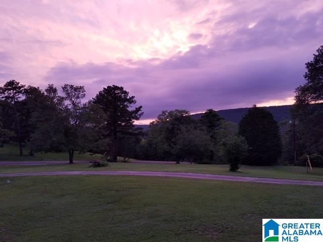 1548 Washington Valley Road Springville, AL 35146 - Photo 4 of 33 Gallery Image 4