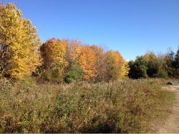 39-3 Pine Hill Road Hollis, NH 03049 - Photo 3 of 5