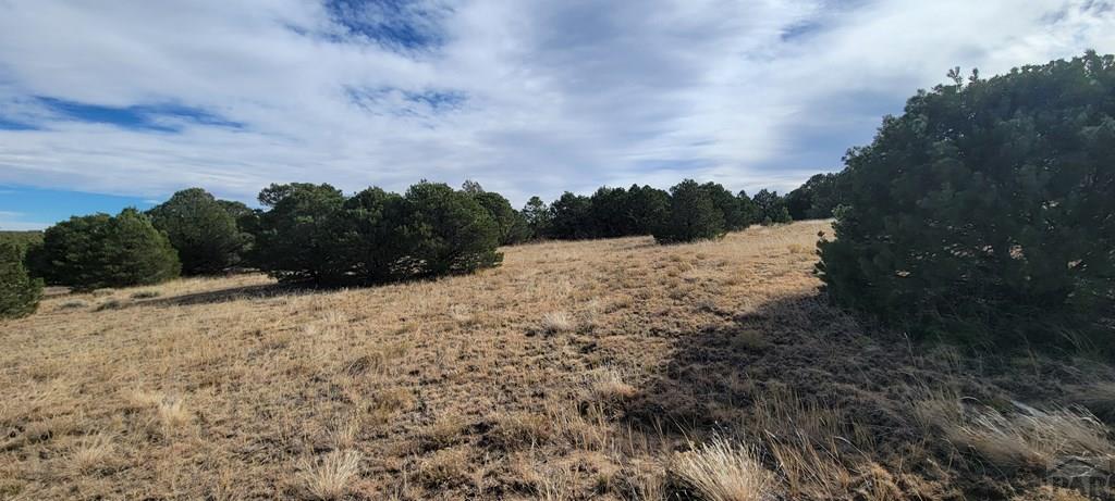 Lot 34 Silver Spur Road Walsenburg, CO 81089 - Photo 17 of 43