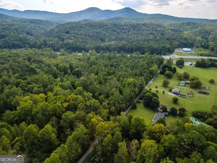 an aerial view of a forest with houses