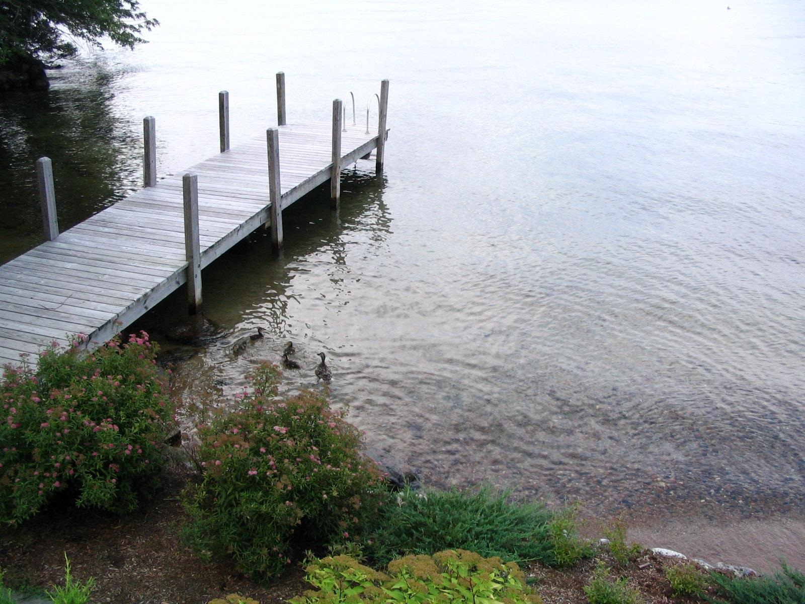 35 Rocky Shore Road Wolfeboro, NH 03894 - Photo 3 of 57
