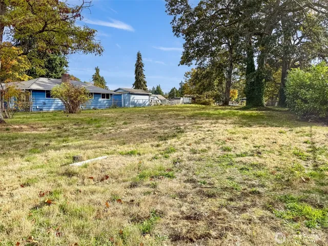 a view of a large yard with plants and large trees