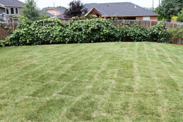 930 Hedine Road Walla Walla, WA 99362 - Photo 20 of 20 Gallery Image 20