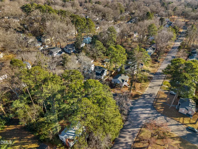 an aerial view of forest