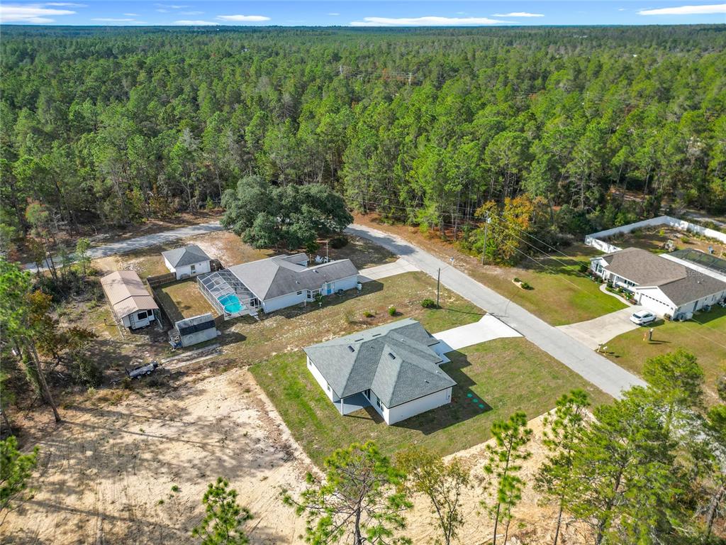8425 North Legacy Loop Citrus Springs, FL 34433 - Photo 46 of 51 a view of a yard with swimming pool