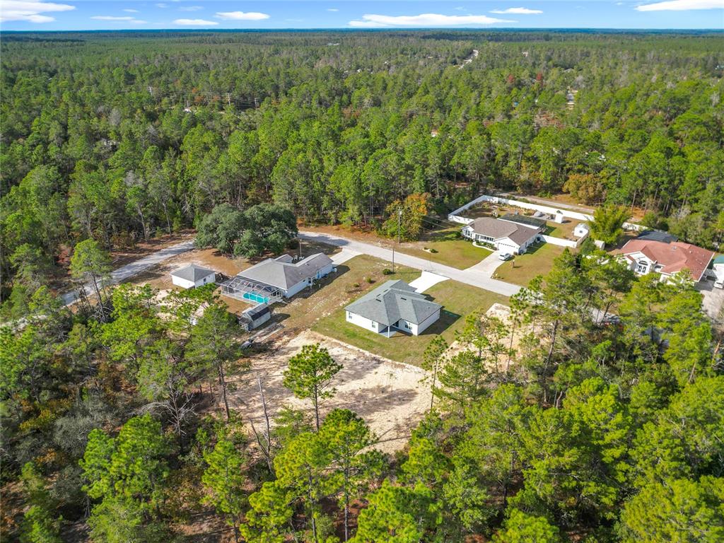8425 North Legacy Loop Citrus Springs, FL 34433 - Photo 51 of 51 a view of a yard with table and chairs