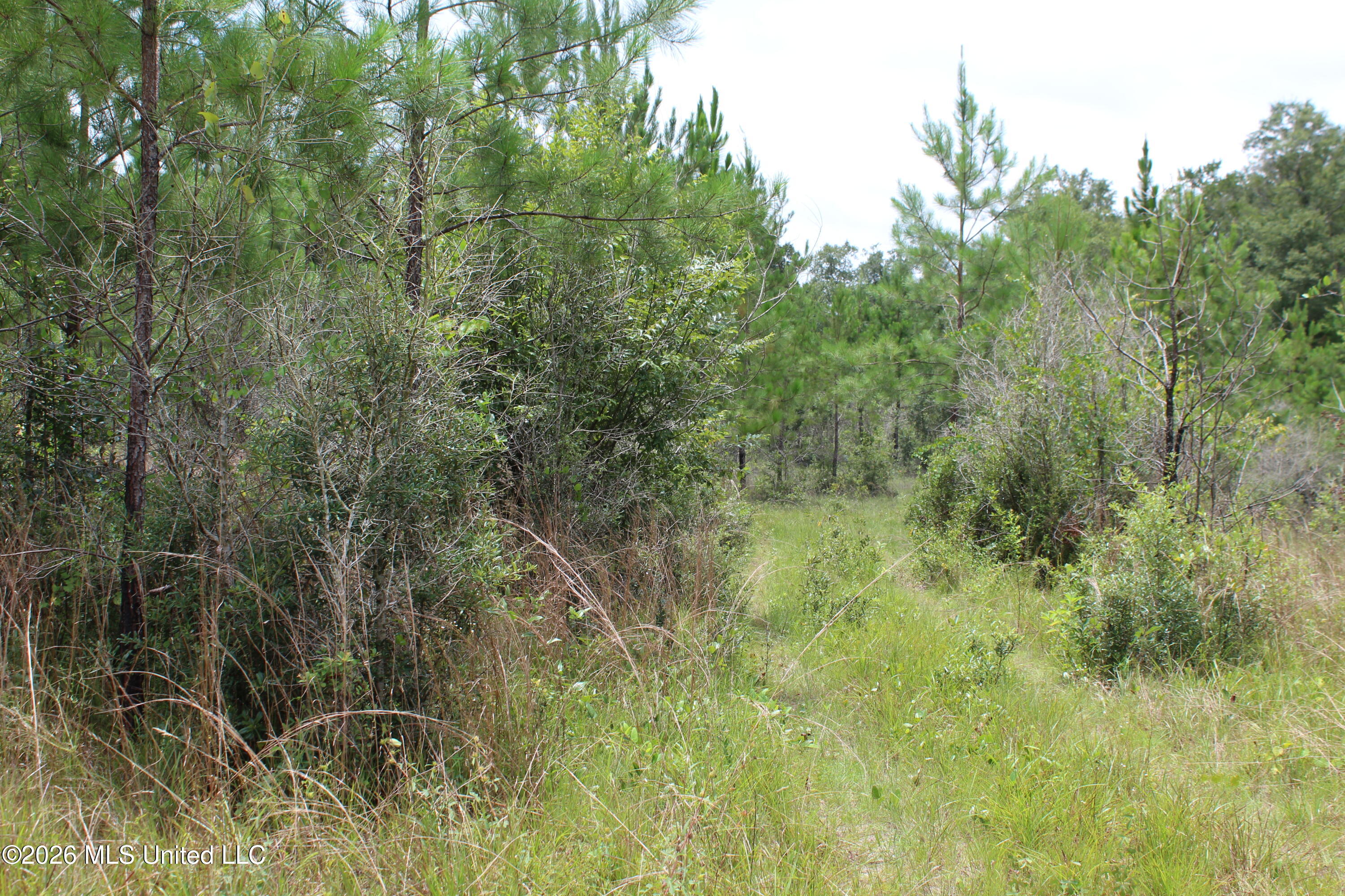 Agricola Latonia Road Lucedale, MS 39452 - Photo 27 of 27 IMG_7254