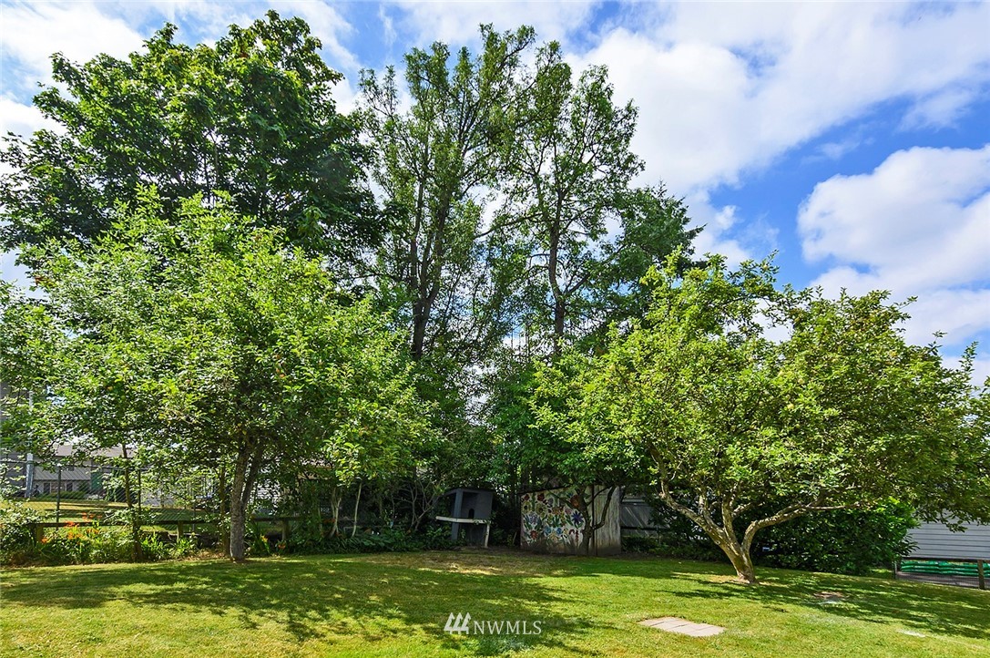 795 South 27th Street Renton, WA 98055 - Photo 14 of 14 a view of a trees in a yard