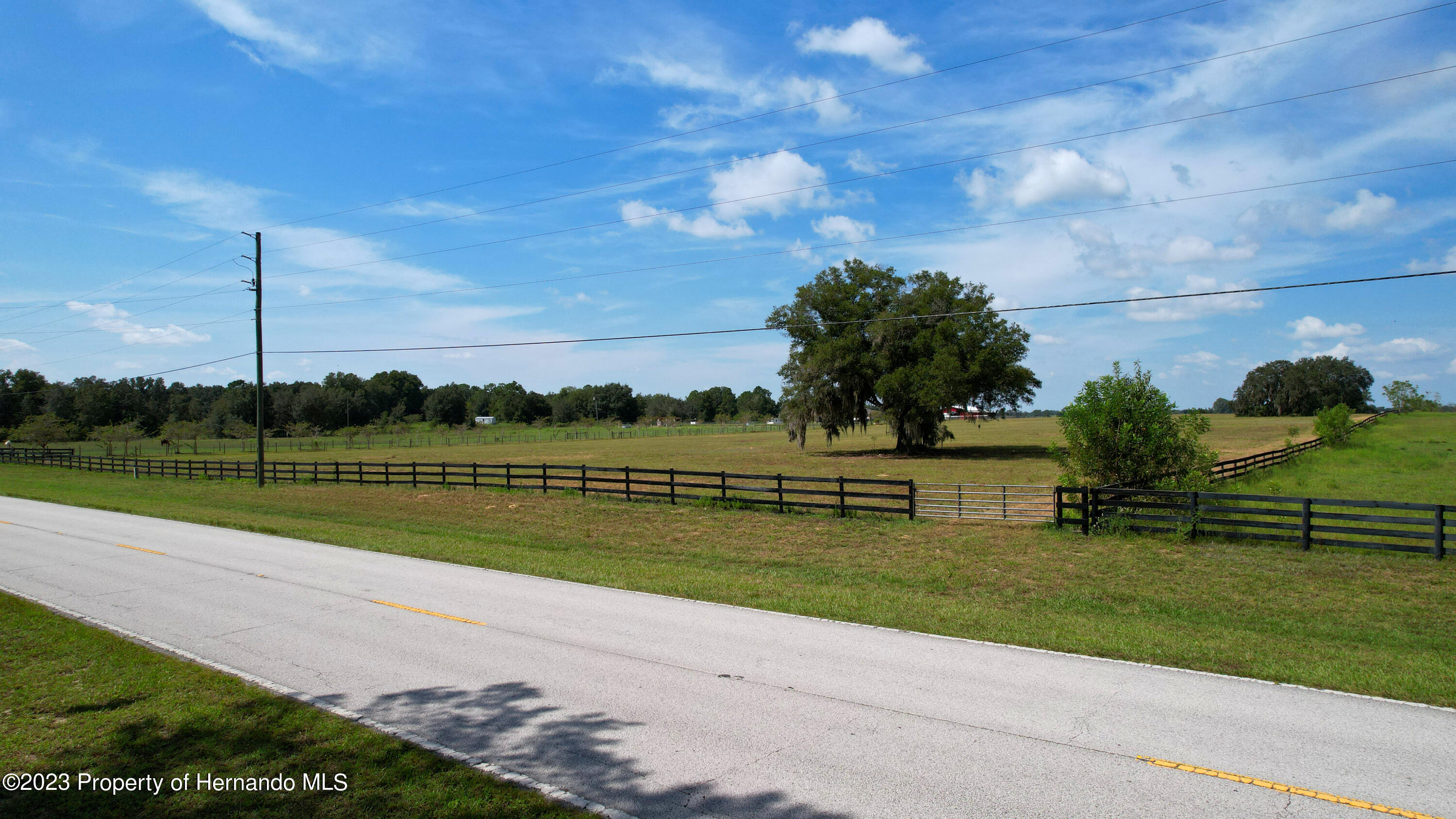13404 South Pleasant Grove Road Floral City, FL 34436 - Photo 13 of 21 a view of a lake with a big yard and palm trees