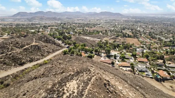 a view of a dry yard with lots of trees