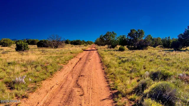 a view of a yard covered with snow