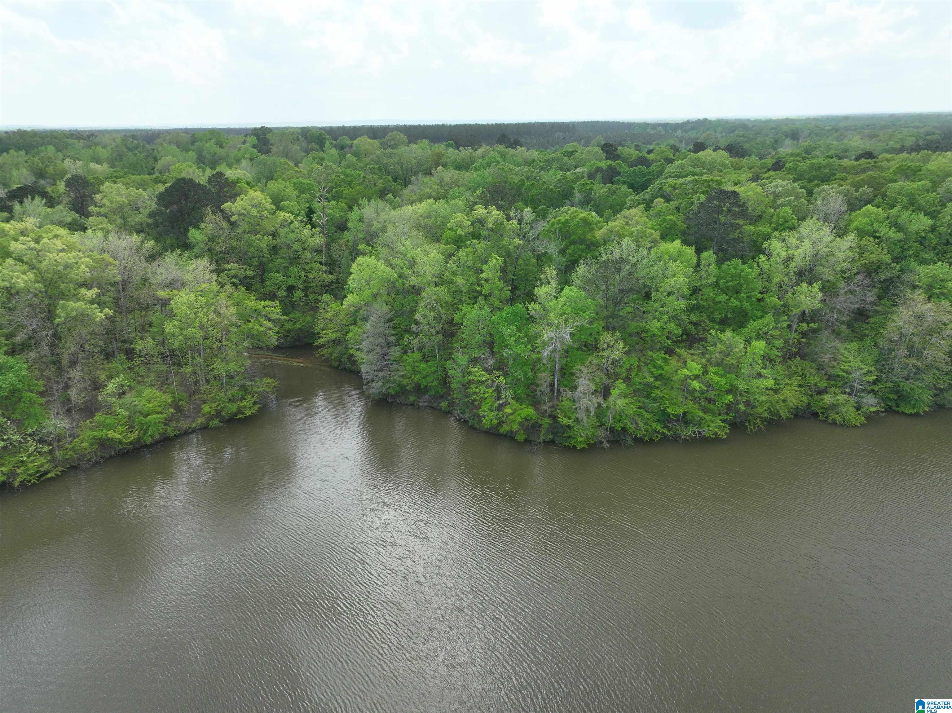 0 County Road 225, Unit 1 Minter, AL 36761 - Photo 3 of 9