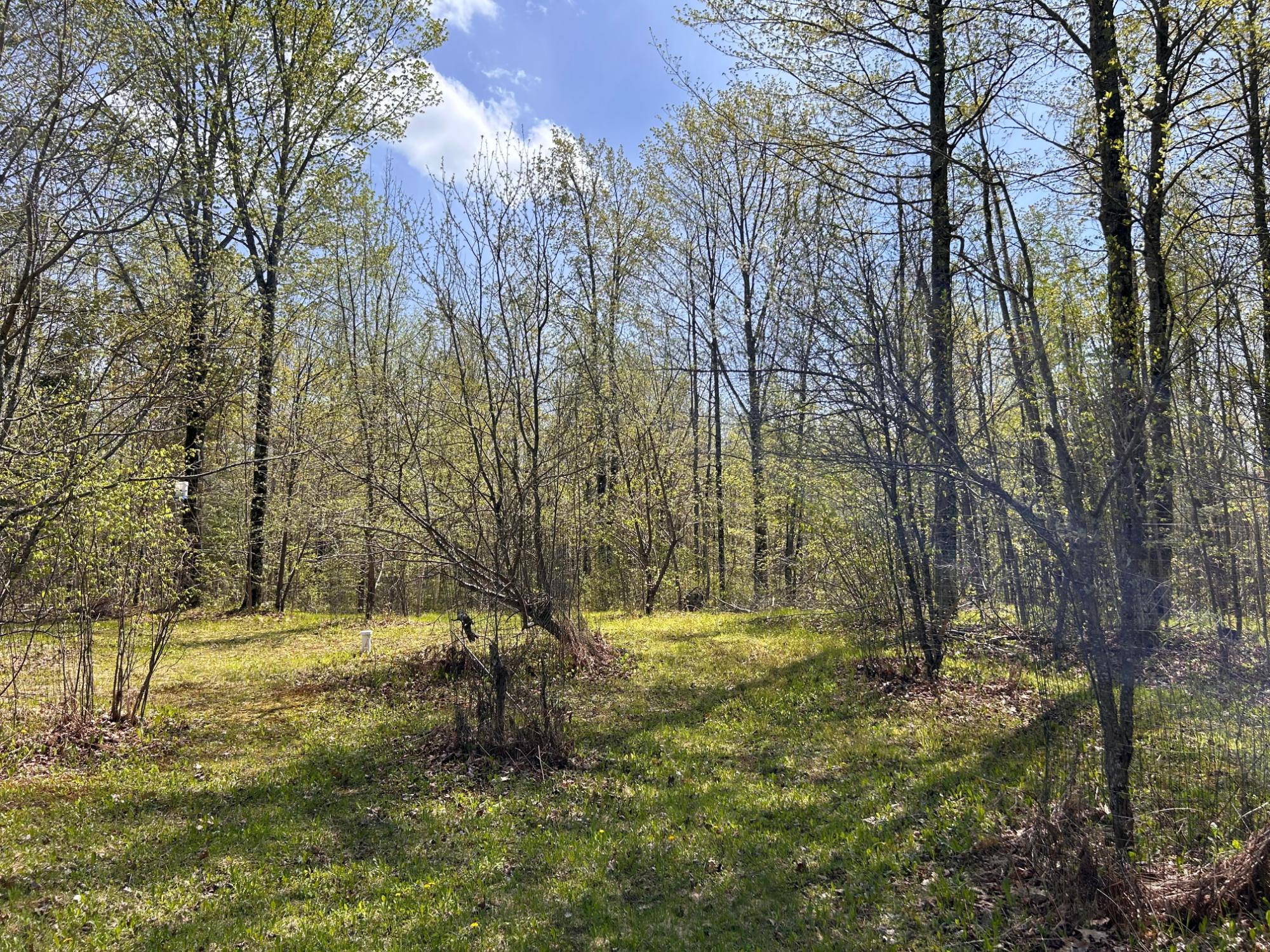 3607 County Road West Crandon, WI 54520 - Photo 46 of 52 Gallery Image 46