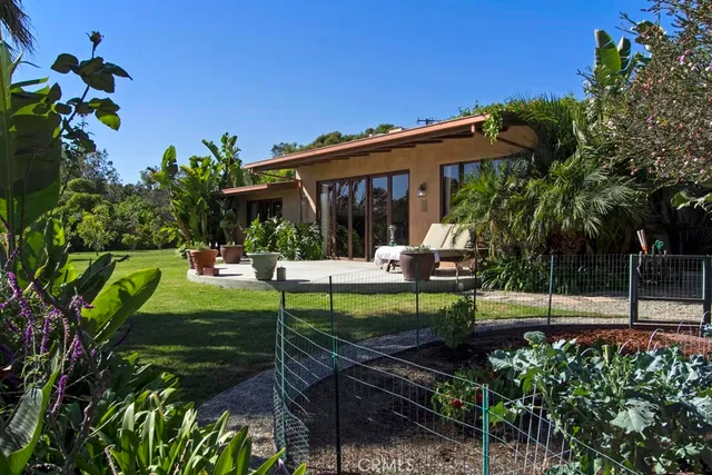 a view of a yard with plants