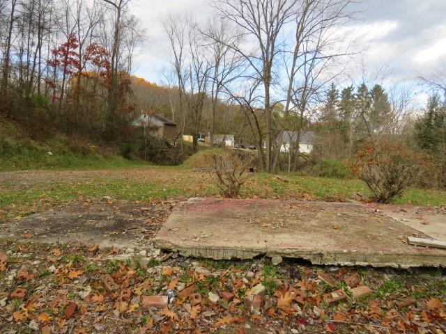 48 Quigley Road Cheswick, PA 15024 - Photo 4 of 6 Gallery Image 4