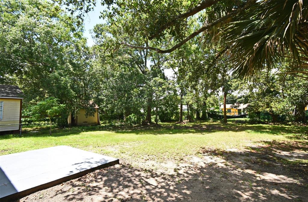 1502 West 16th Street Sanford, FL 32771 - Photo 3 of 9 a view of a yard with plants and large trees