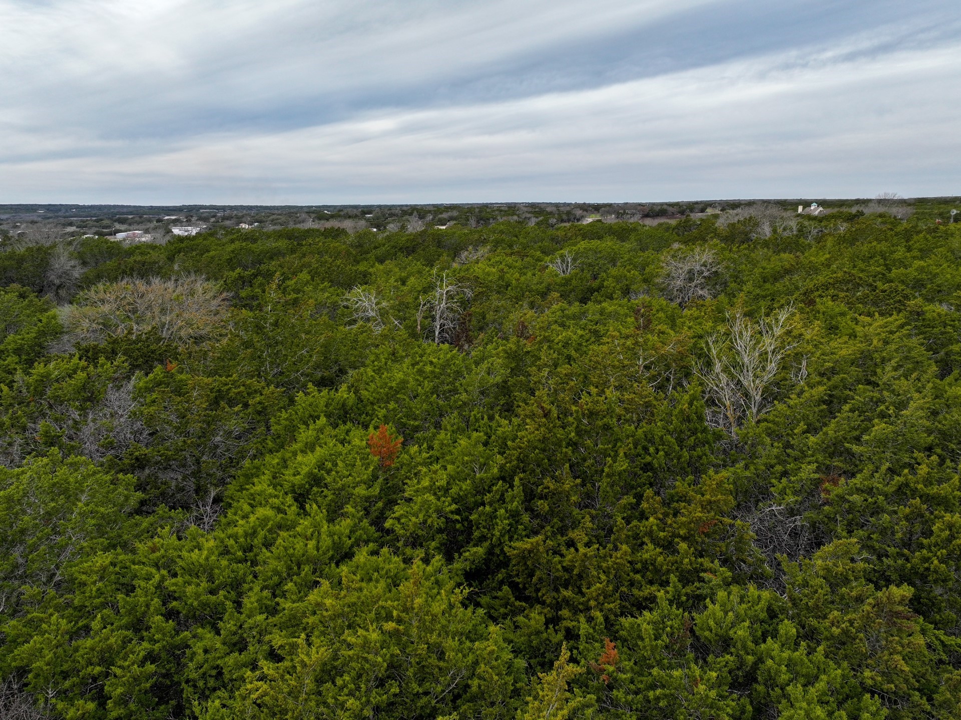 0 Rocky Ridge Drive Burnet, TX 78611 - Photo 6 of 17