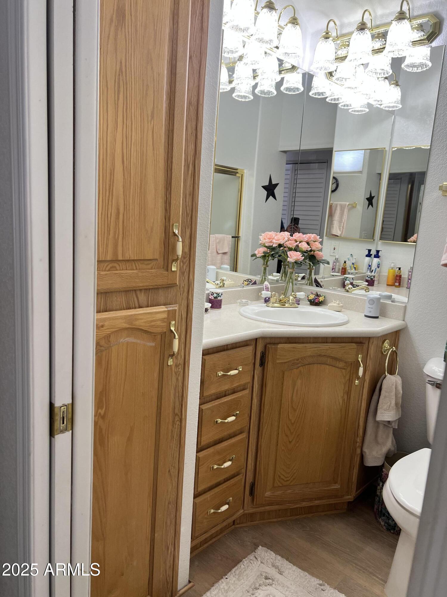 1001 South Prospectors Road, Unit 1001 Apache Junction, AZ 85119 - Photo 13 of 23 BATHROOM 1