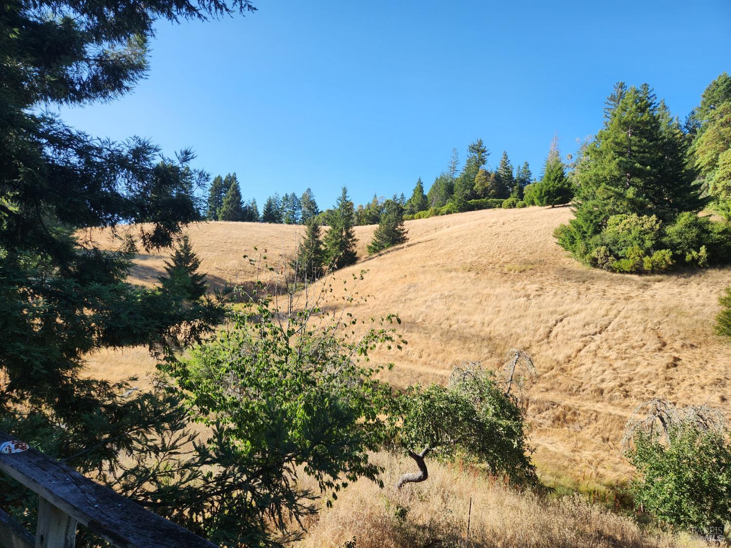 13333 Low Gap Road Ukiah, CA 95482 - Photo 3 of 50 a view of a yard with plants and trees