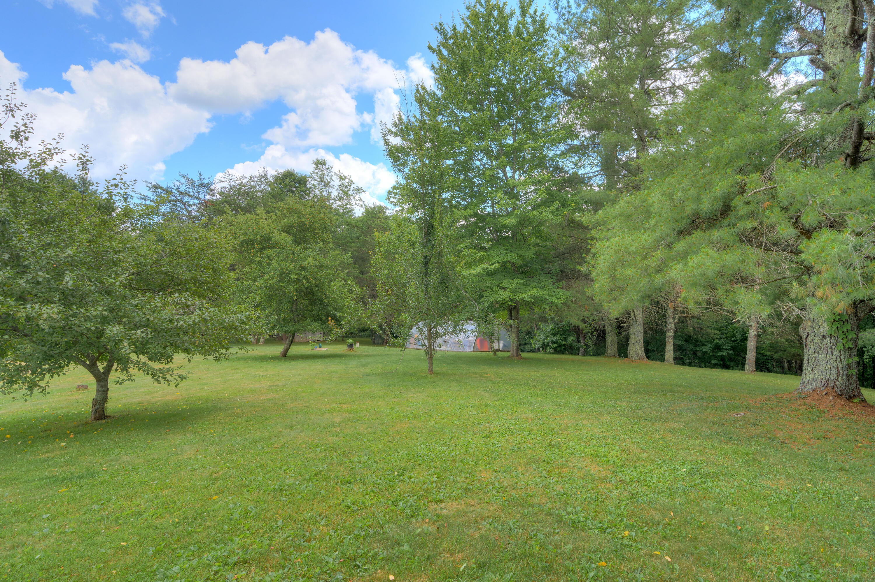 153 Rivendell Road Northwest Willis, VA 24380 - Photo 48 of 51 153_Rivendell_Rd_NW_HiRes-7
