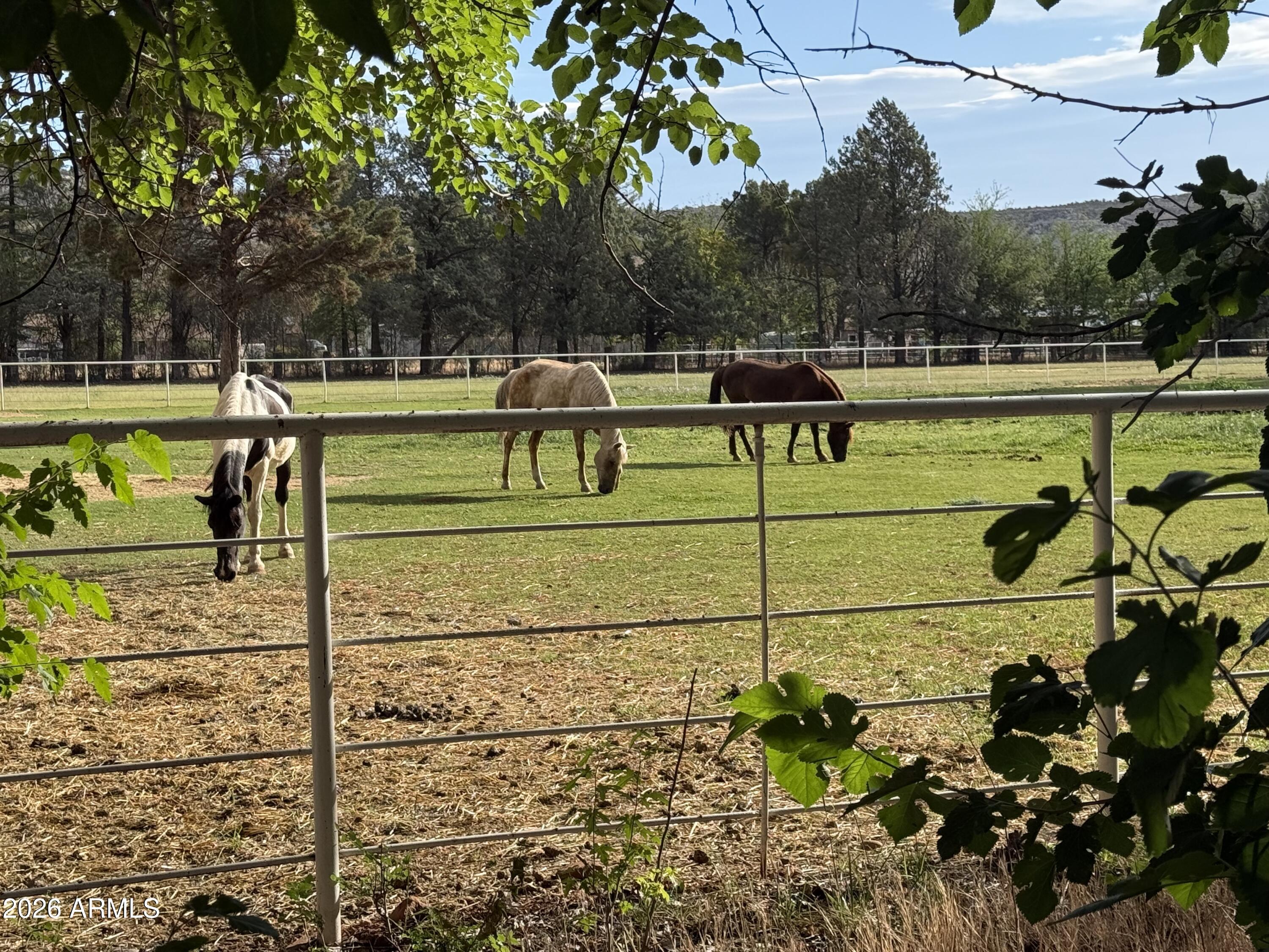 4000 Mahoney Road, Unit 1 Camp Verde, AZ 86322 - Photo 10 of 41 a view of a tennis court