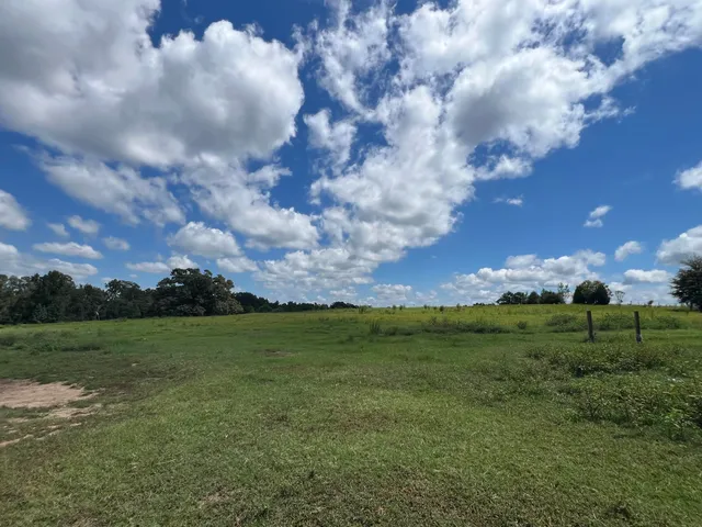 a view of a big yard with lots of green space