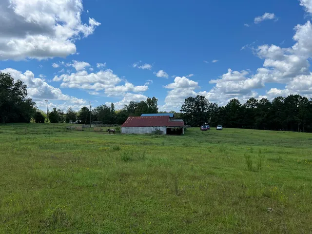 a view of a garden and basketball court