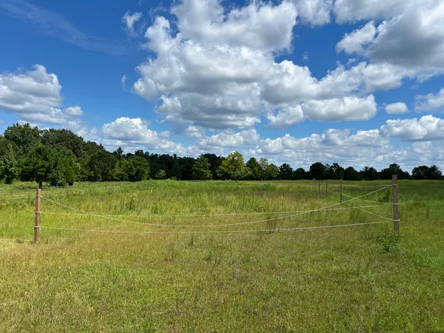 a view of an outdoor space yard and entertaining space