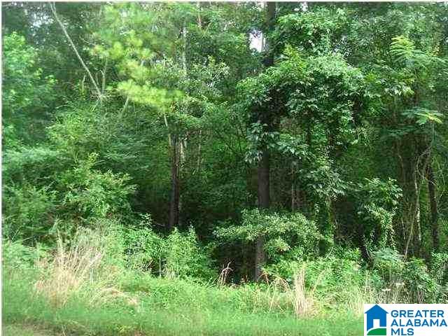 2000 Silver Run Road, Unit 8 5 ACRE PARCEL Munford, AL 36268 - Photo 1 of 2