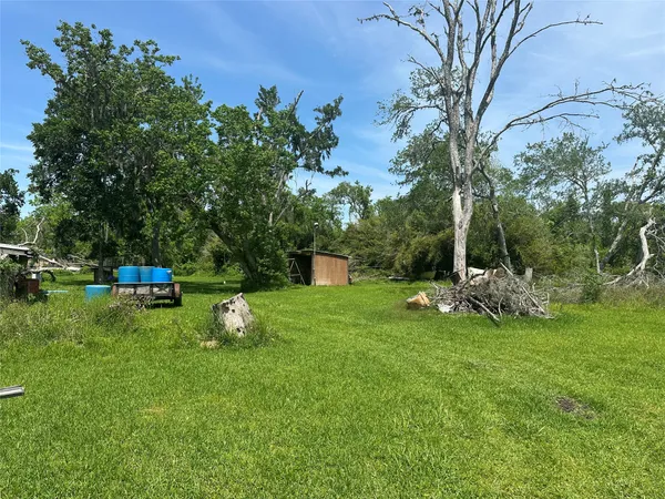 a view of a park with large trees