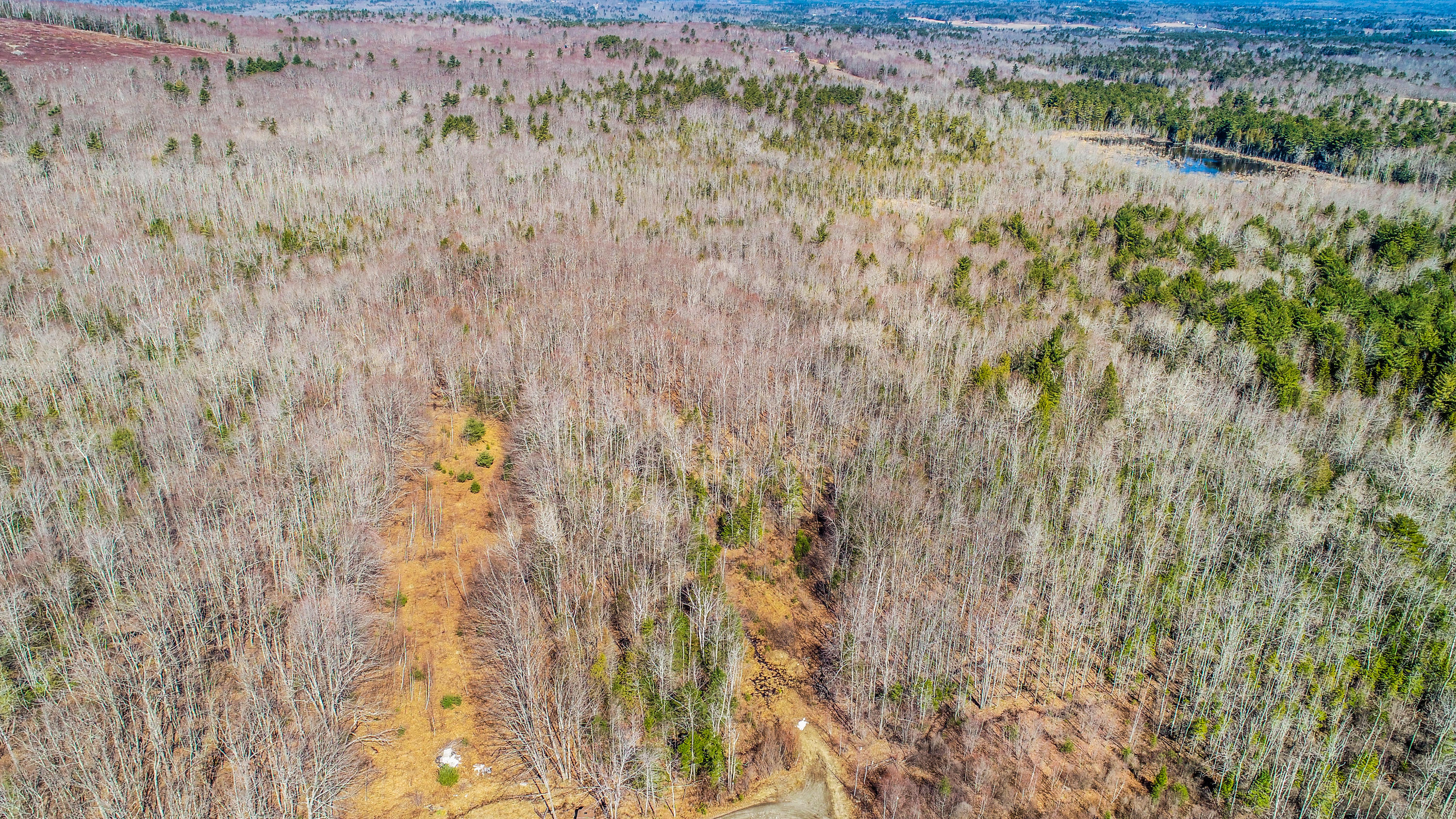 Lot 21 Belfast Road Northport, ME 04849 - Photo 15 of 23 Belfast Rd.-11