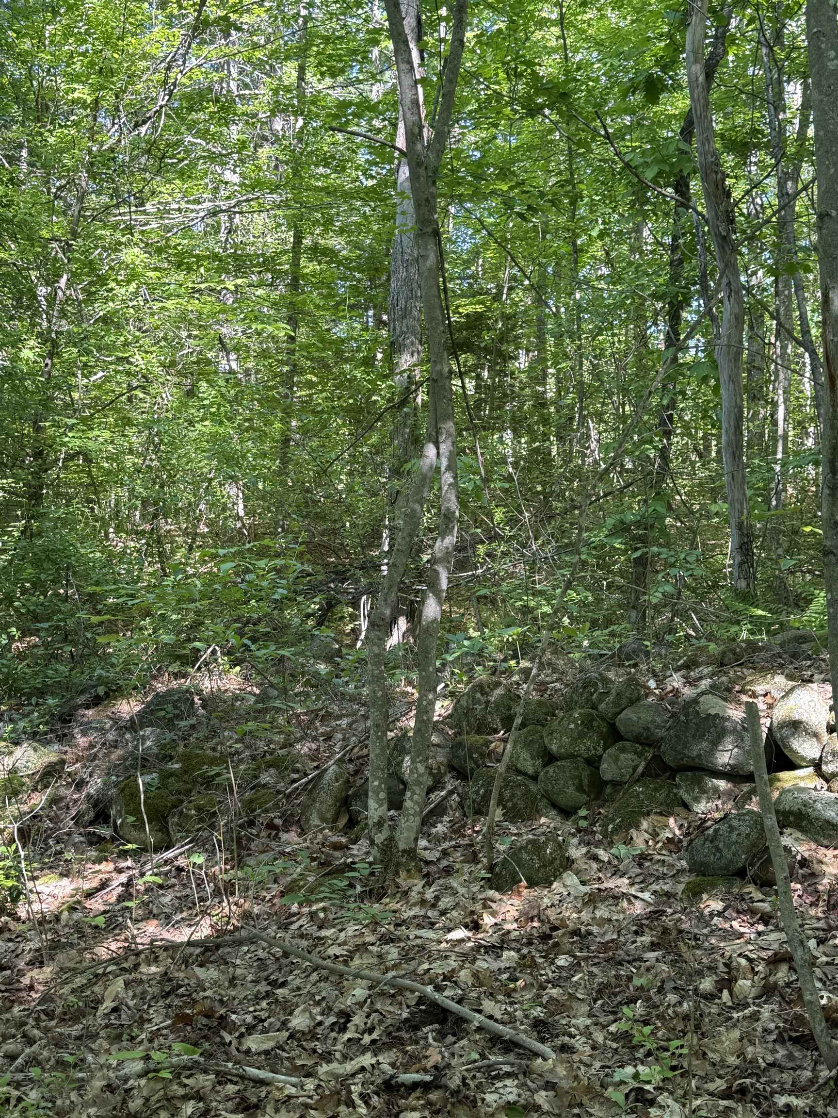 0 Upper Bay Road Sanbornton, NH 03269 - Photo 3 of 3