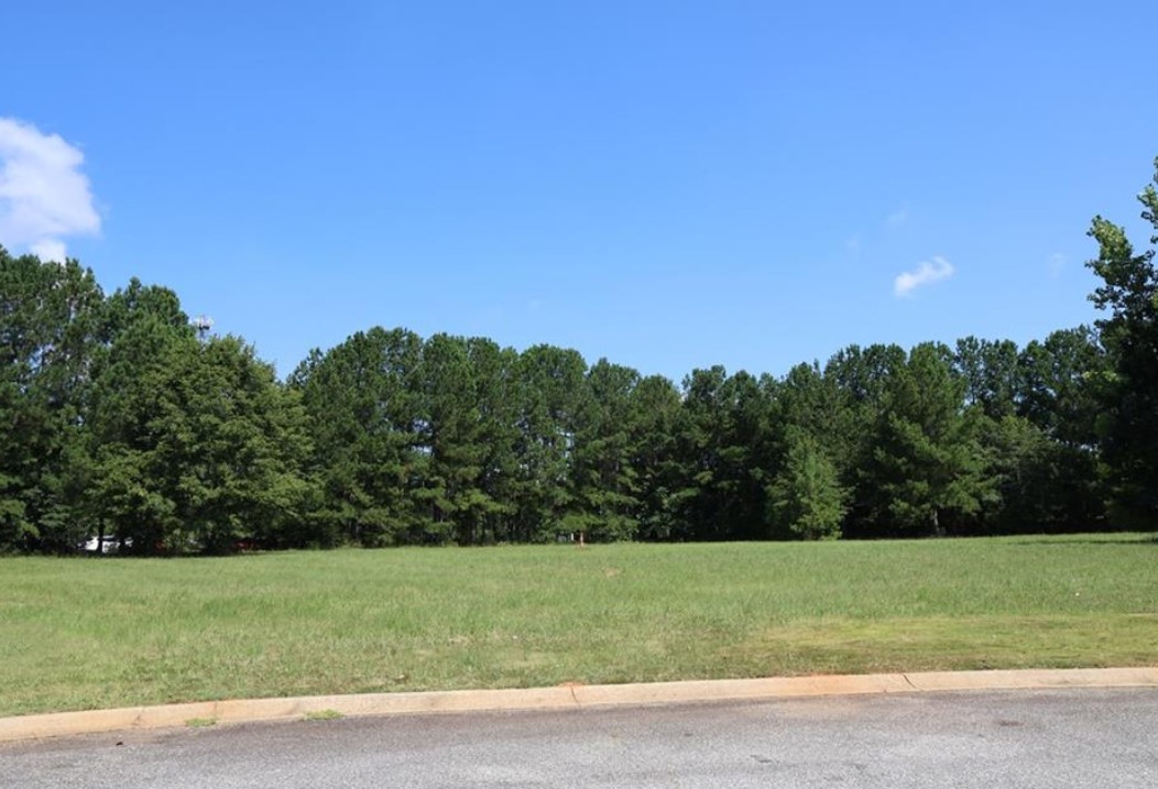 A spacious, verdant lot awaits your vision, bordered by a dense line of mature trees for privacy.
