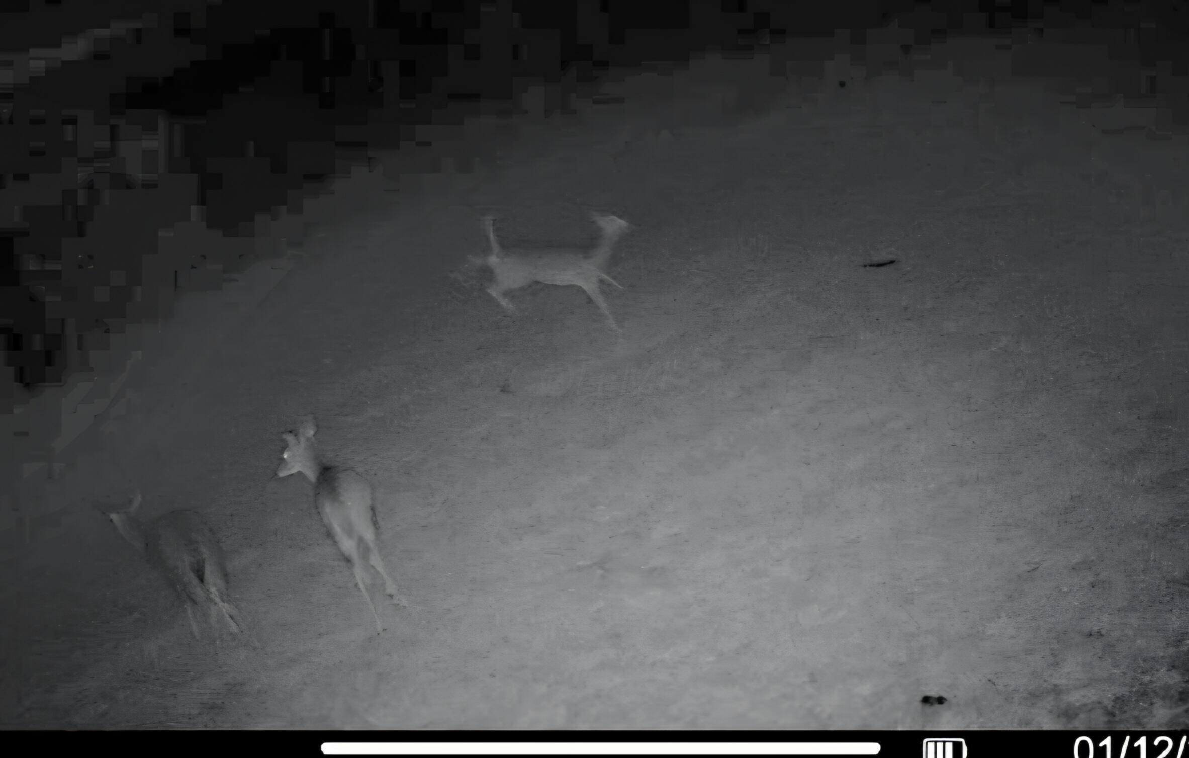 2105 Stonerock Road Williamsport, OH 43164 - Photo 22 of 22 Wildlife