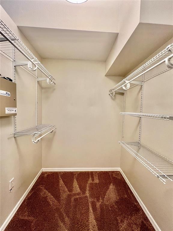 2513 West Kansas Avenue, Unit B Tampa, FL 33629 - Photo 26 of 27 a view of walk in closet