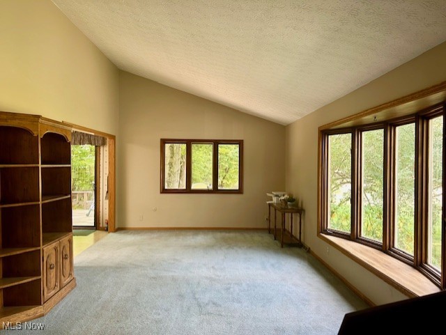 3422 Southern Road Richfield, OH 44286 - Photo 9 of 42 Living room featuring light carpet and vaulted ceiling