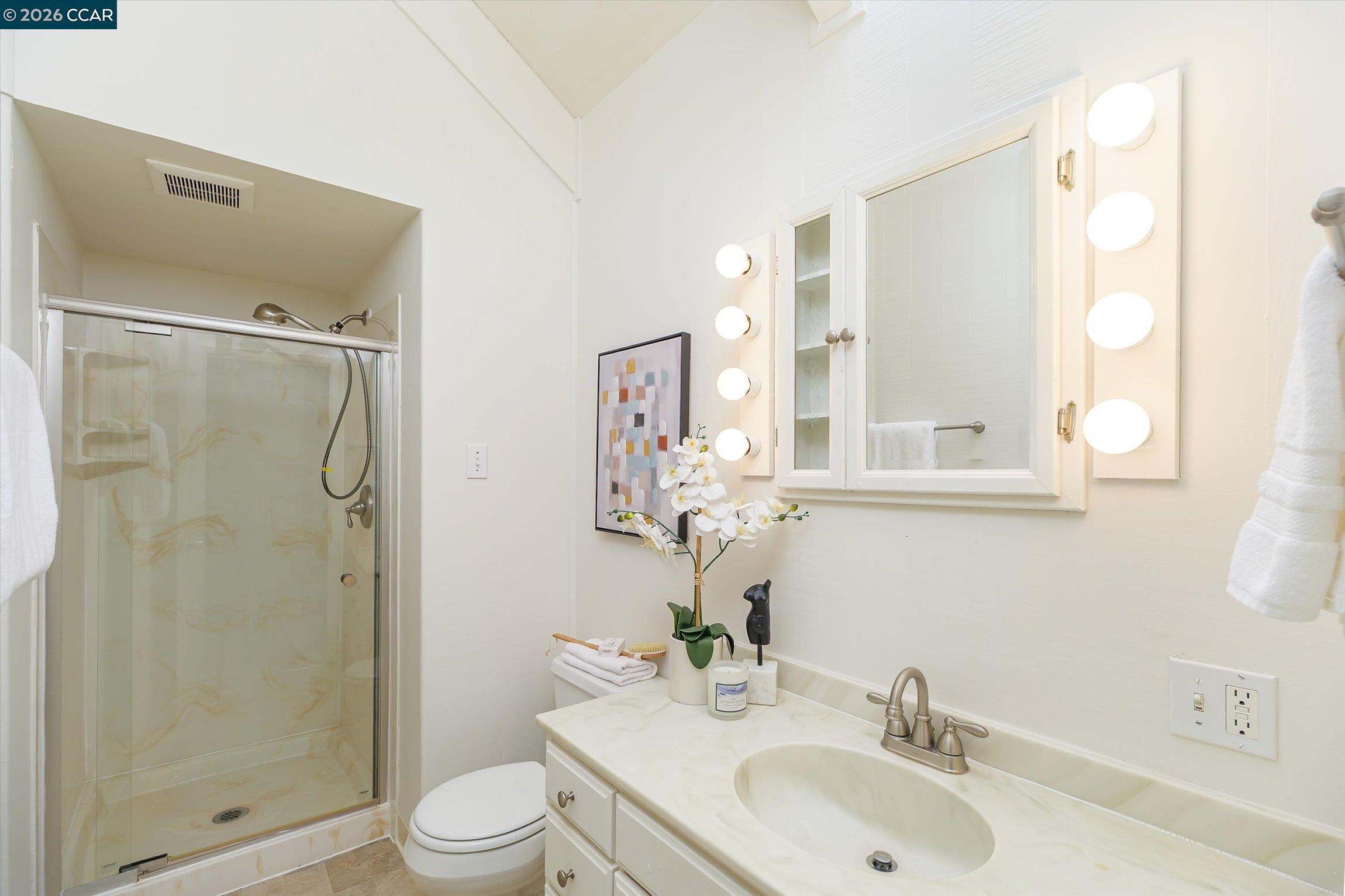 315 Forbes Avenue San Rafael, CA 94901 - Photo 16 of 28 a bathroom with a sink toilet and shower