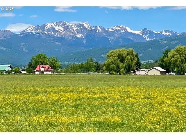 a view of yard with mountain view