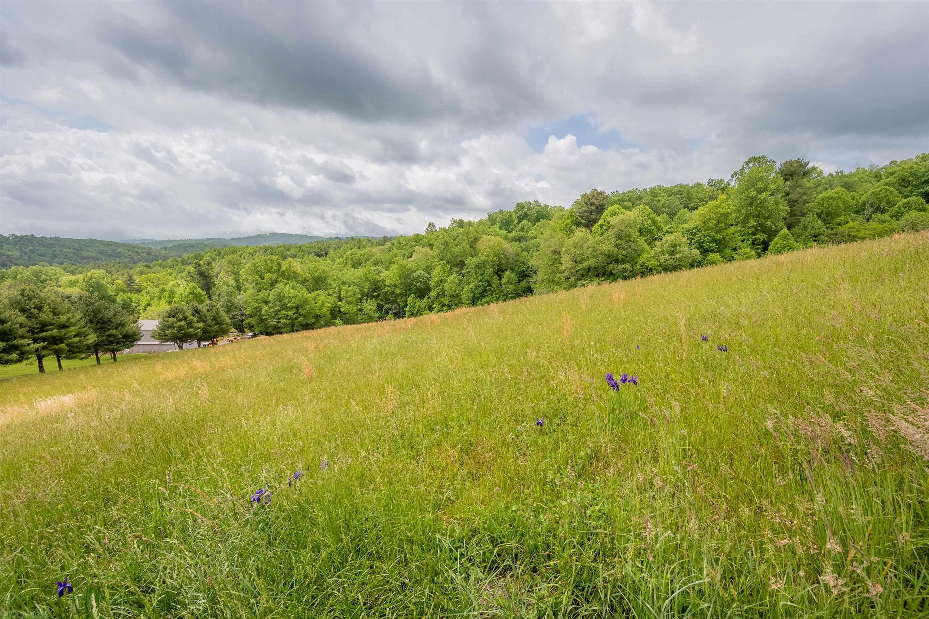Tbd South Tbd S Whispering Ridge Road South Hillsville, VA 24343 - Photo 5 of 28 Gallery Image 5
