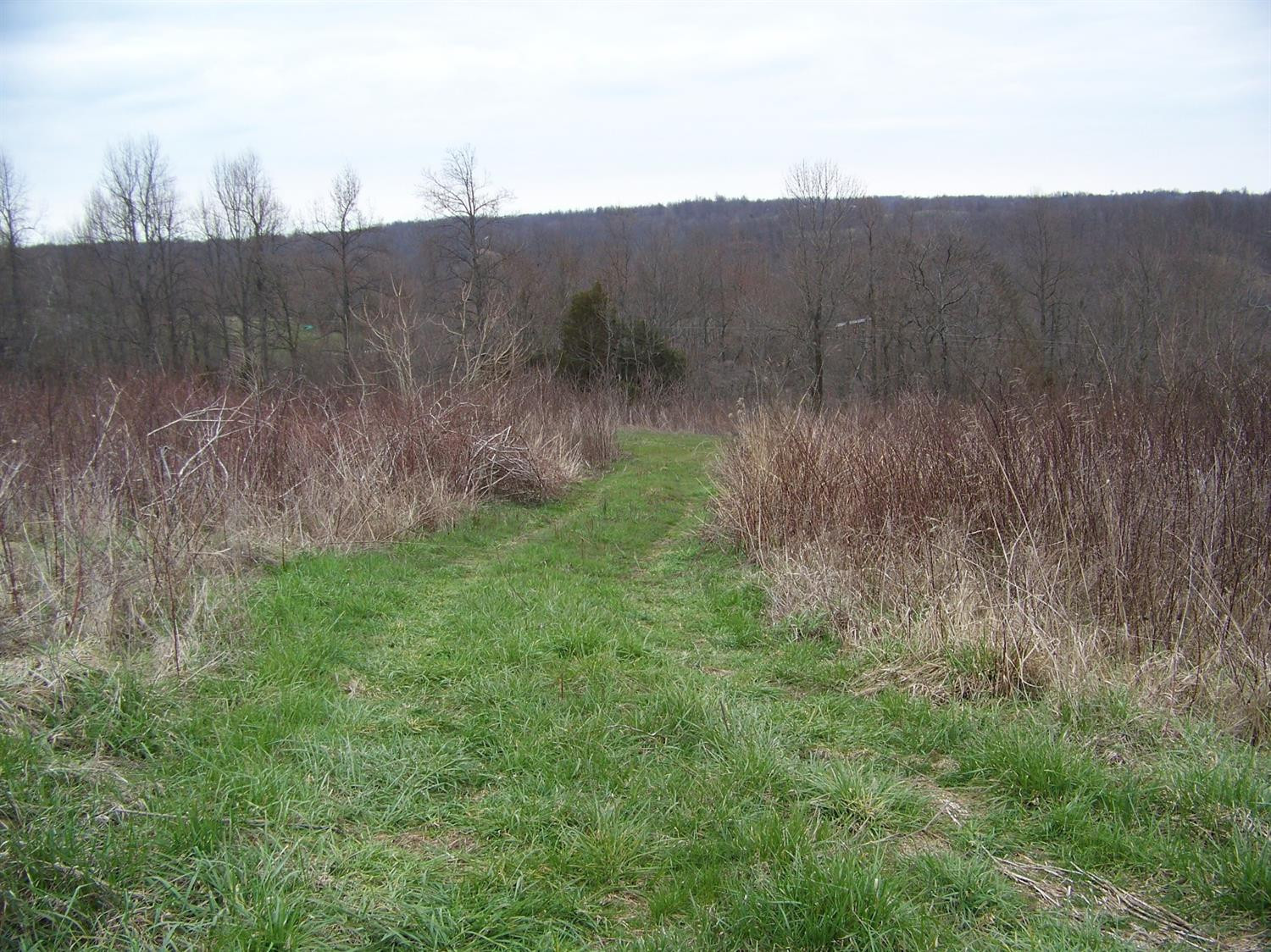 740 Horse Ridge Road Stanford, KY 40484 - Photo 5 of 22 Listing Photo