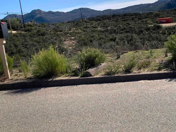 a view of a back yard