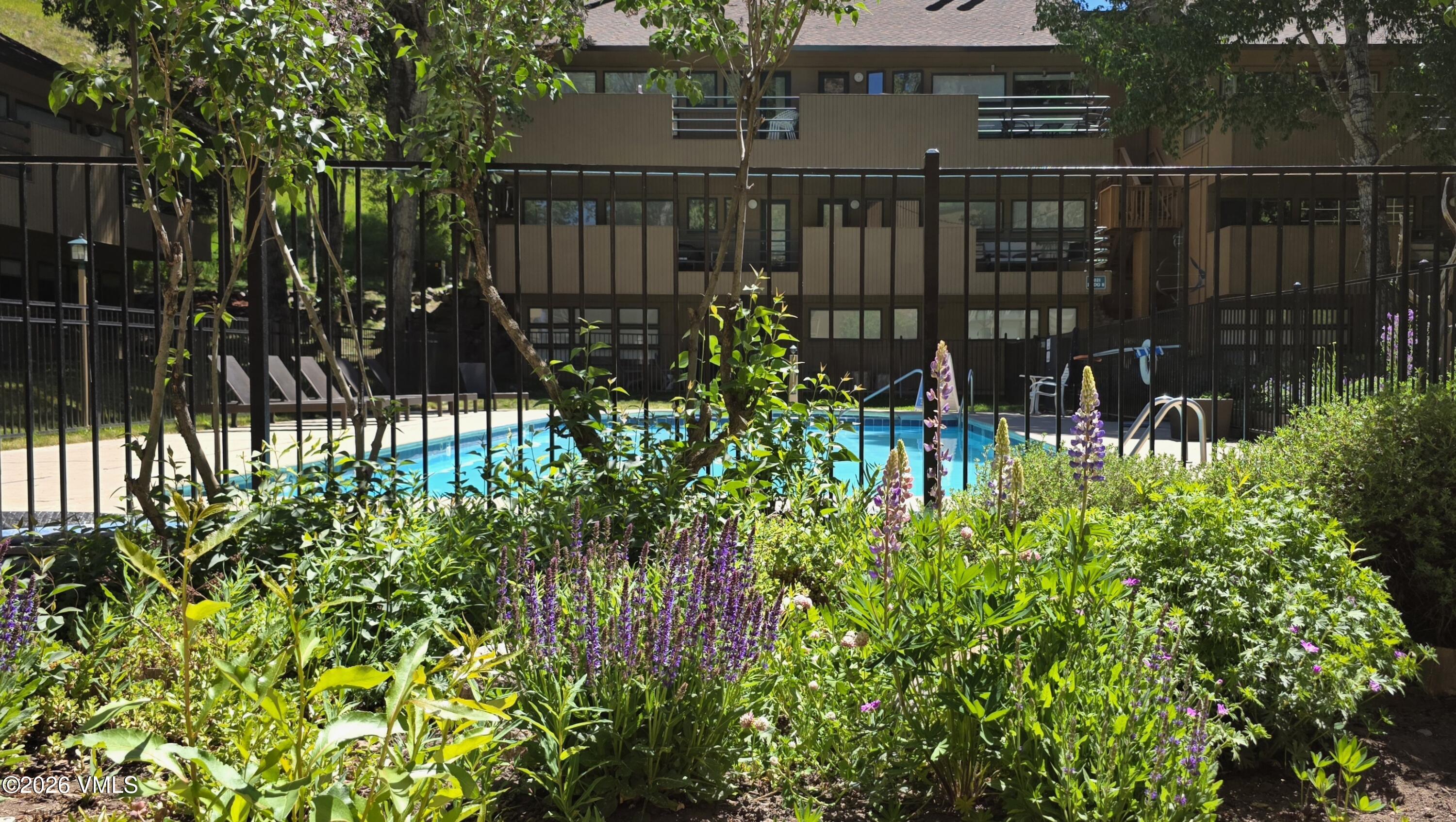 3971 Big Horn Road, Unit 7X Vail, CO 81657 - Photo 9 of 10 3971 Bighorn pool flowers