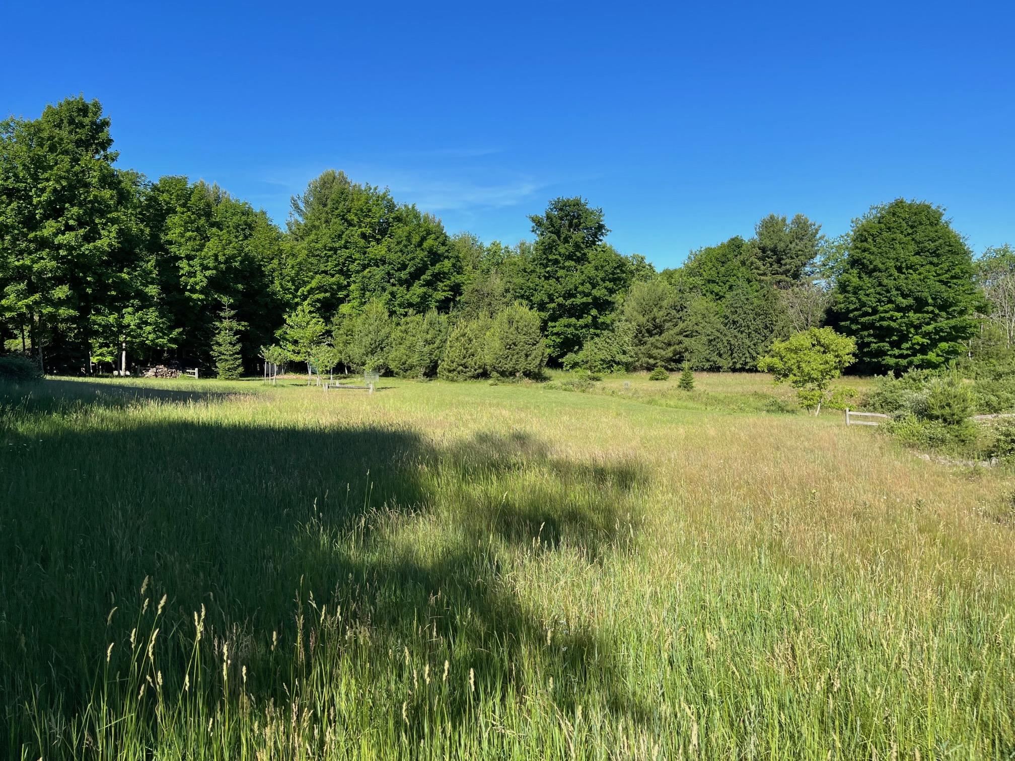 73 South Roen Drive, Unit LOT: 73 Empire, MI 49630 - Photo 3 of 12
