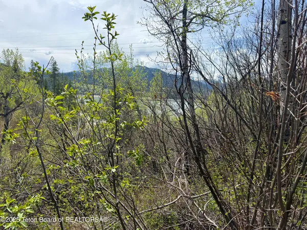 $1,700,000 | 180-acres 180-acres Cove Road, Irwin, ID 83428