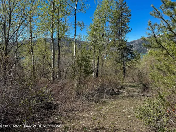 $1,700,000 | 180-acres 180-acres Cove Road, Irwin, ID 83428