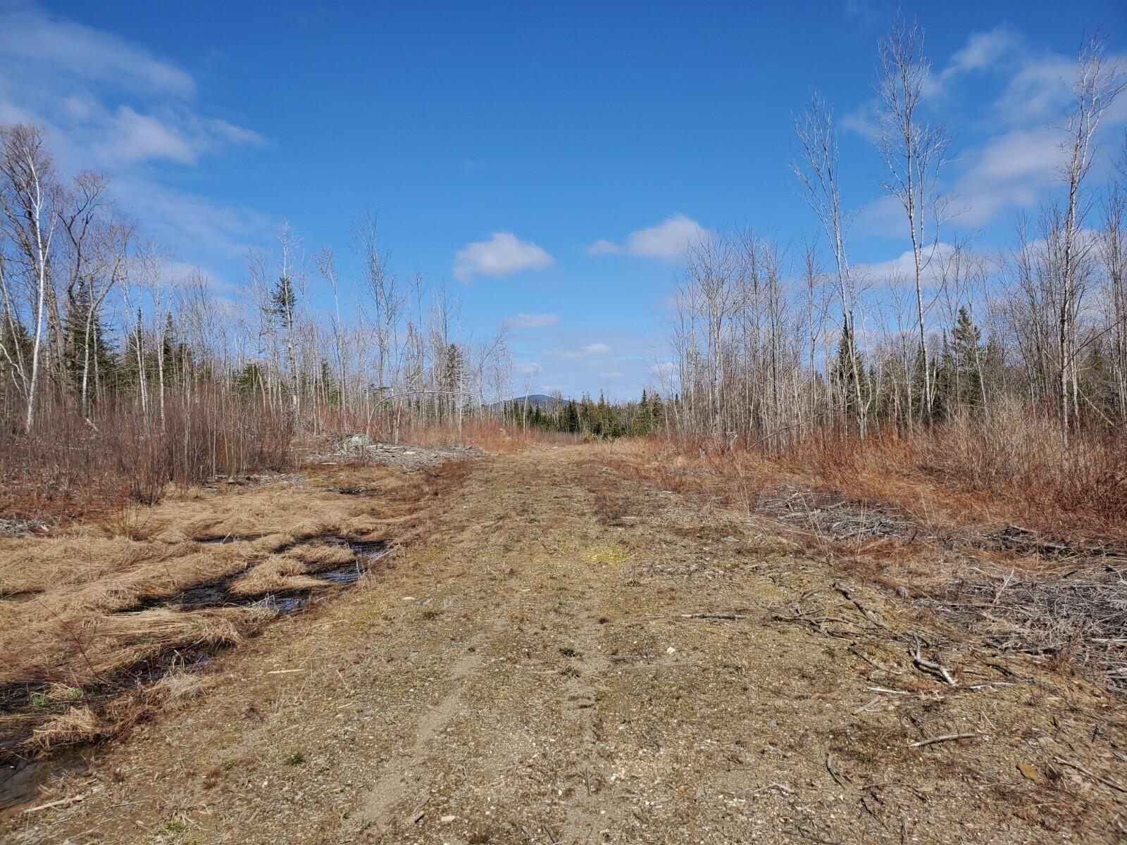 Tbd Winding Hill Road Crystal, ME 04747 - Photo 9 of 9 20210413_103516