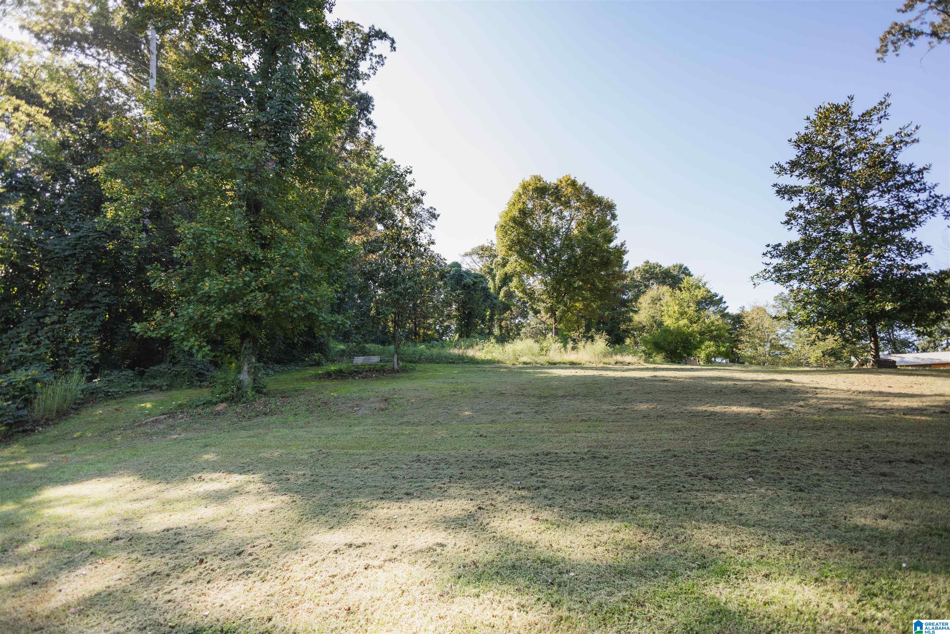 6069 Highway 11 Springville, AL 35146 - Photo 53 of 76