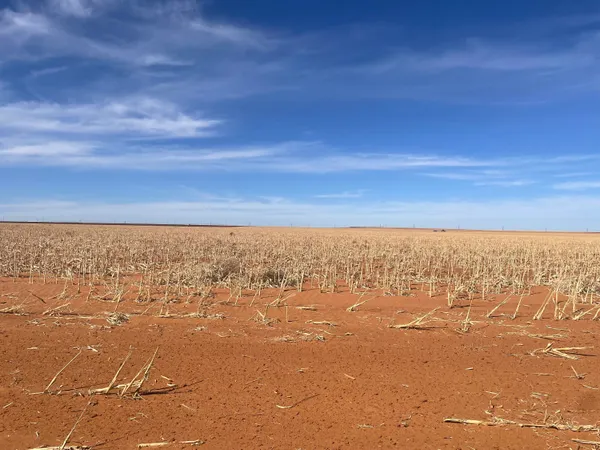 a view of beach and ocean